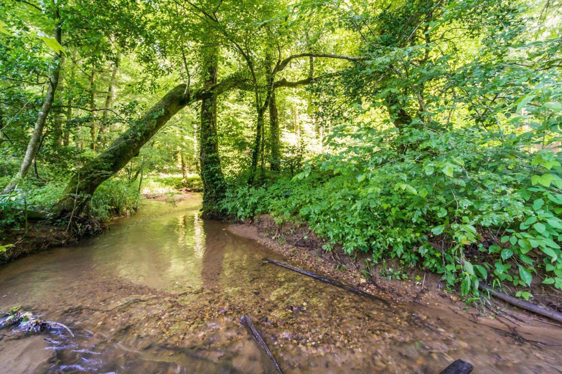 Vila New Listing! Wine Country Retreat - 2 Bed, Hot Tub Dahlonega Exteriér fotografie